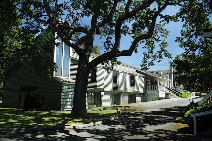 Garry Oaks surround our main building